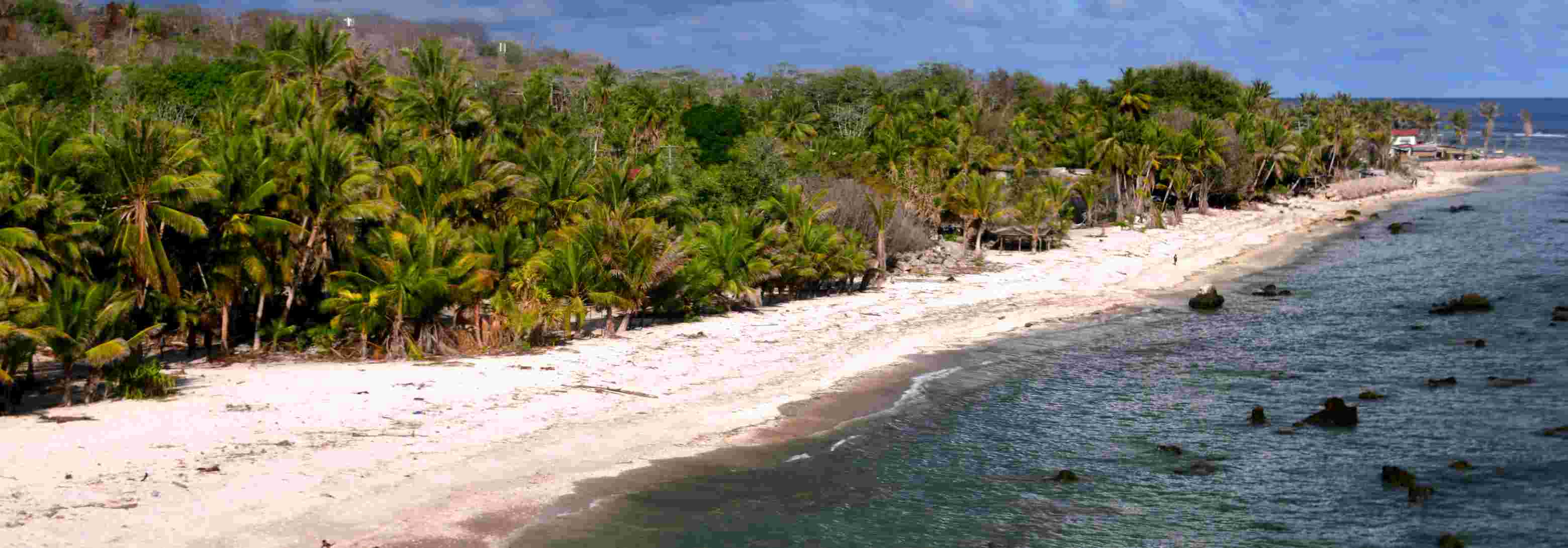 Wine tasting in vineyard